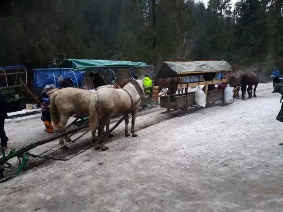 Kuligi-Biesiady Aniela i Piotr