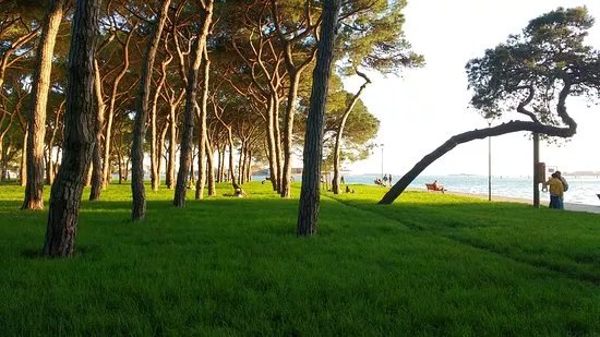 Giardini Della Biennale