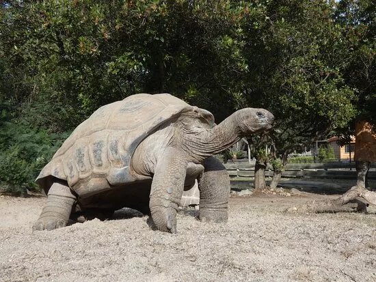 La Vallee des Tortues