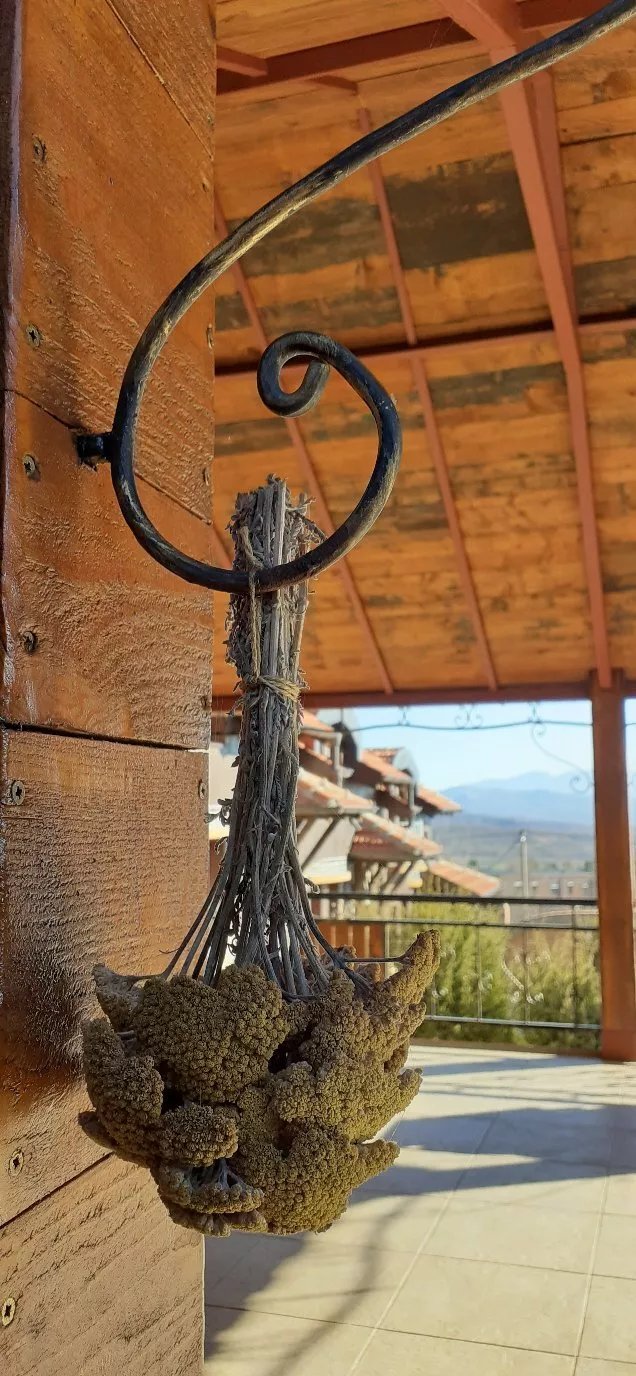 Apartmani Imunsan