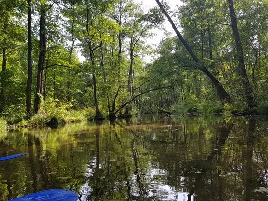 Martinez Kayak and Canoe