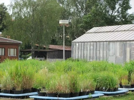 Trebon Institute of Botany