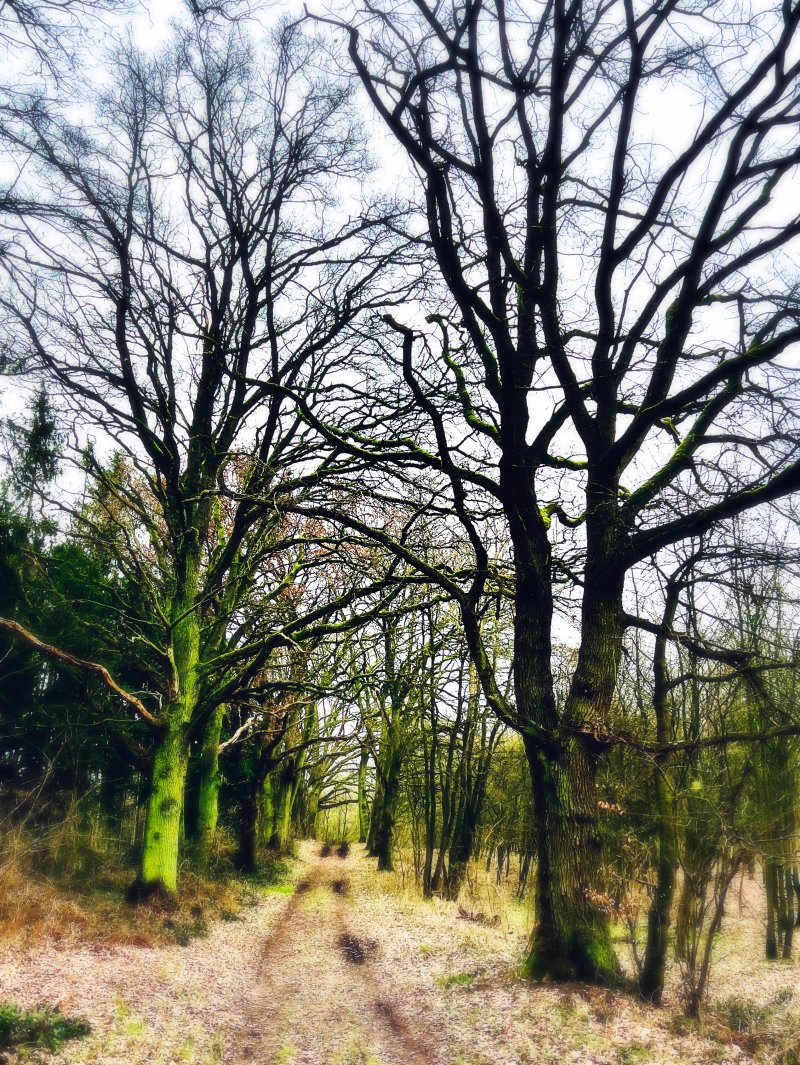 Jugendherberge Moelln