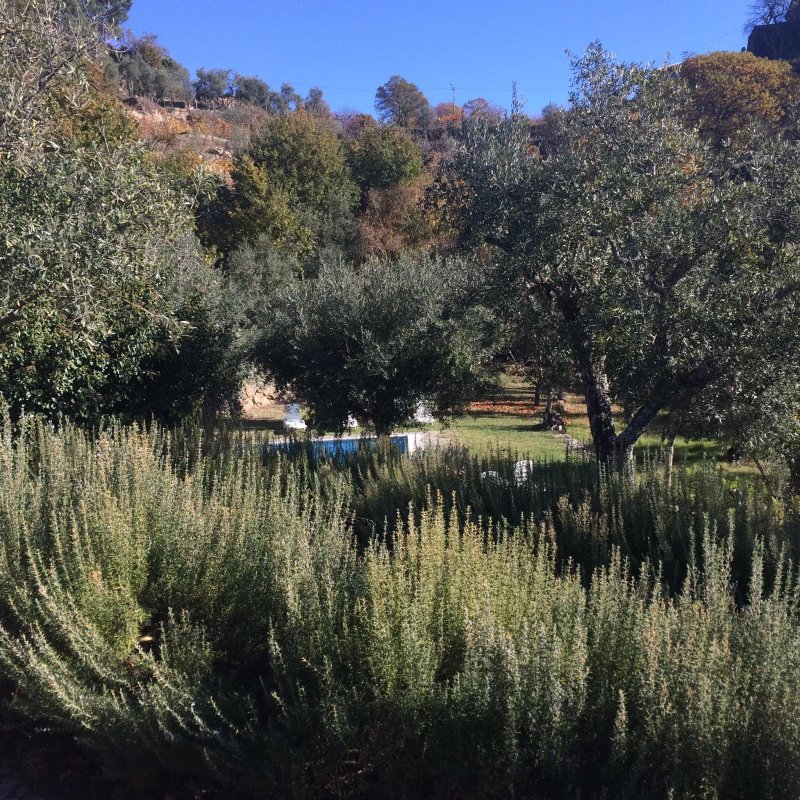 Quinta Das Lamas E Salgueirinhos
