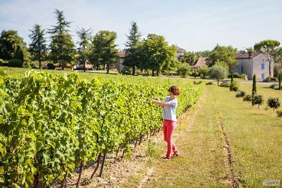 Domaine de Gayrard