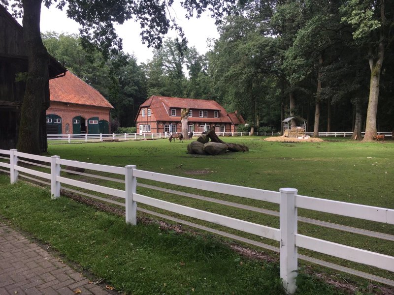 Hof Springhorn
