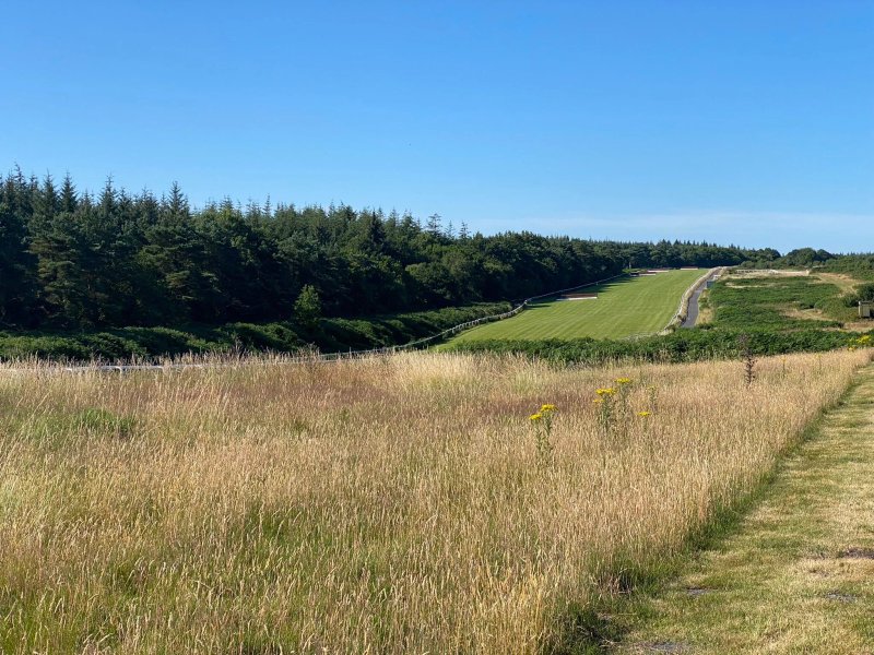 Exeter Racecourse Caravan and Motorhome Club Campsite