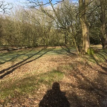 Downs Banks