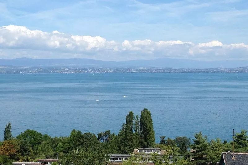 Appt F3 800m from Golf d'Evian, superb lake view in residence with swimming