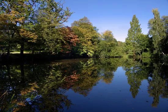 Danbury Country Park