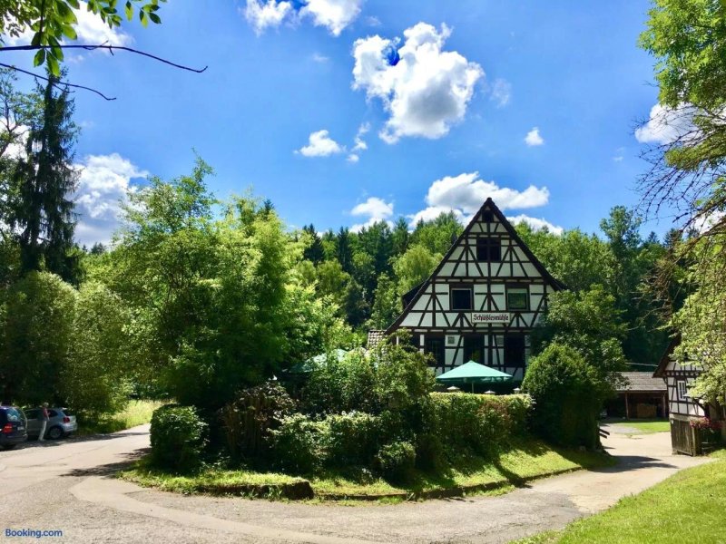 Schlosslesmuhle