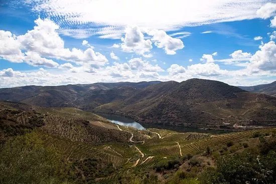 All in Douro