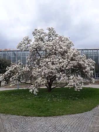 Botanischer Garten der Universitat Tubingen