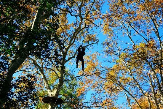 Ecopark Adventures Monteclin