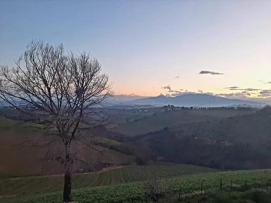 Cantine Capecci