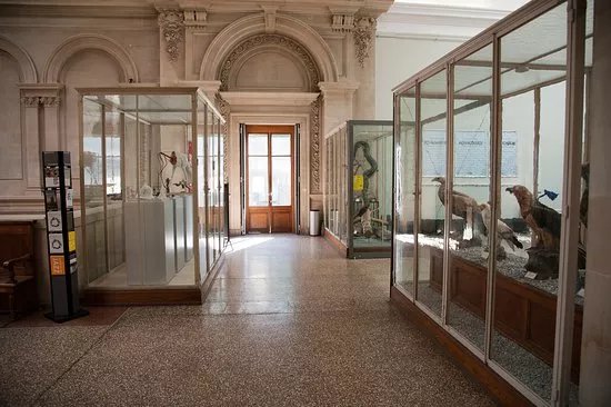 Musee de Zoologie Lausanne