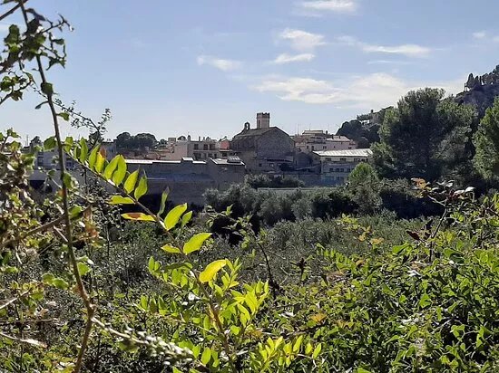Parroquia Sant Vicenc Martir
