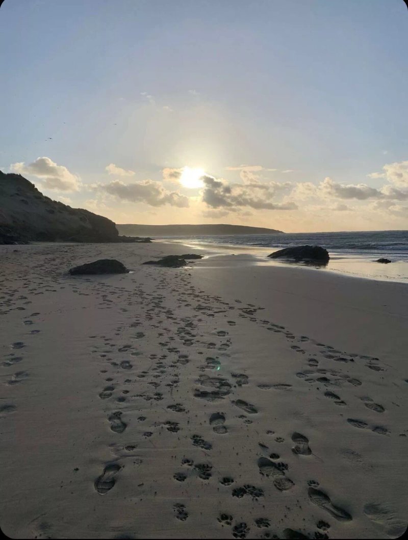 Sea Views, Crantock, Sleeps 4, Private Lane.