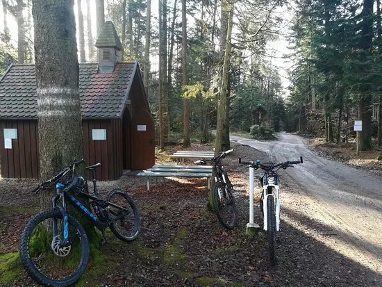 Schellenberg