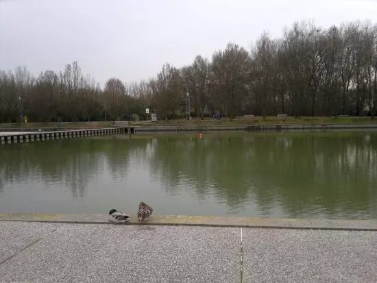 Parco Alfredo Albanese