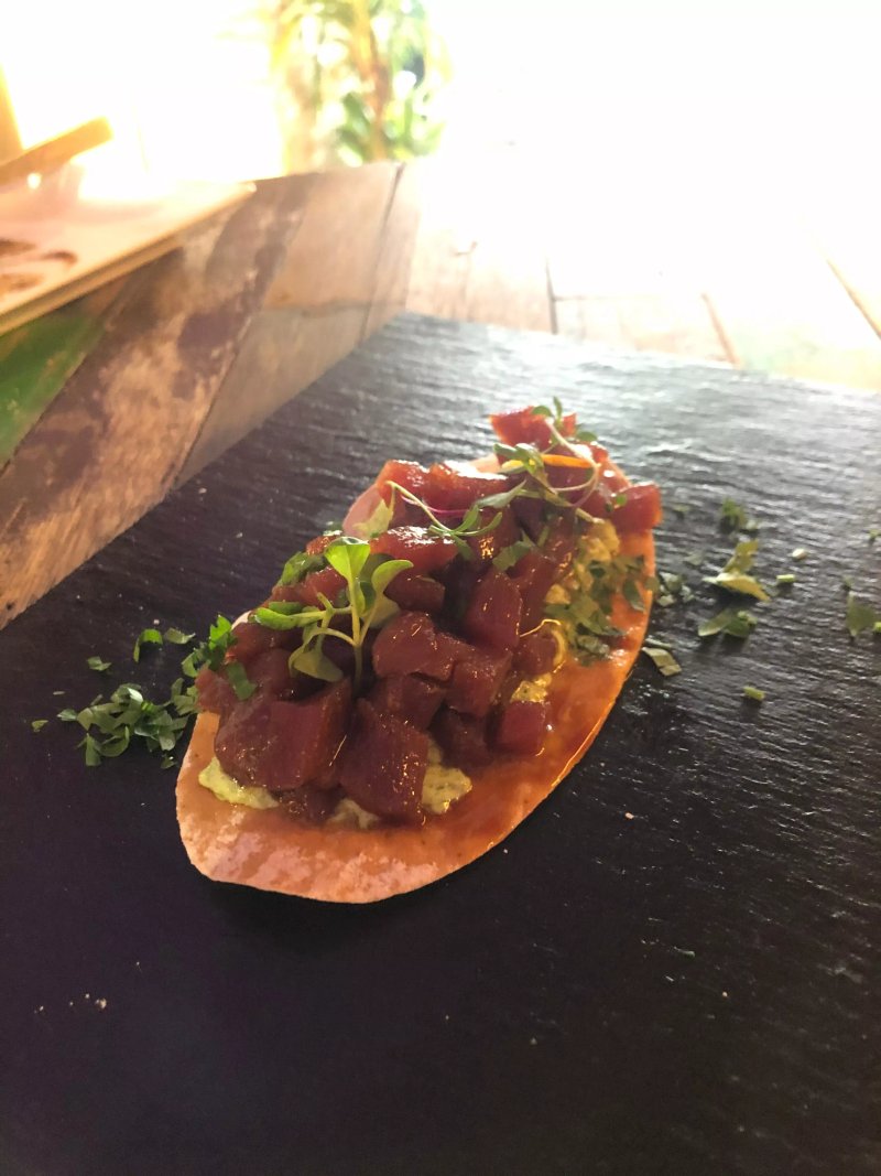El Alvero
