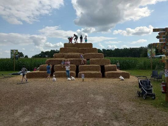 The Corn Maze