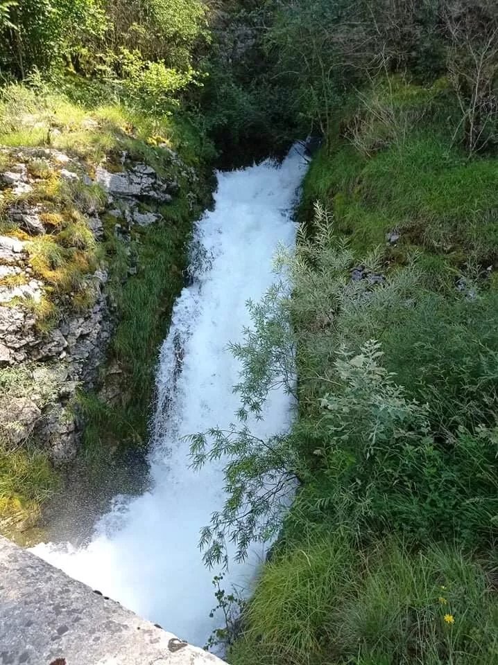 Camping Du Lac De Coiselet