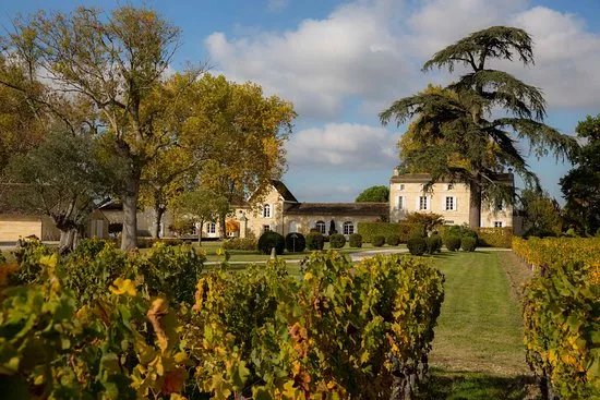 Chateau Jean Faure Grand Cru Classe