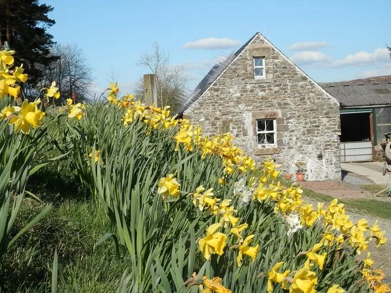 Curlew Cottage, Hawick, Scottish Borders