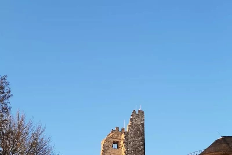 Fun at Phantasialand, culture and nature between Bonn and Cologne