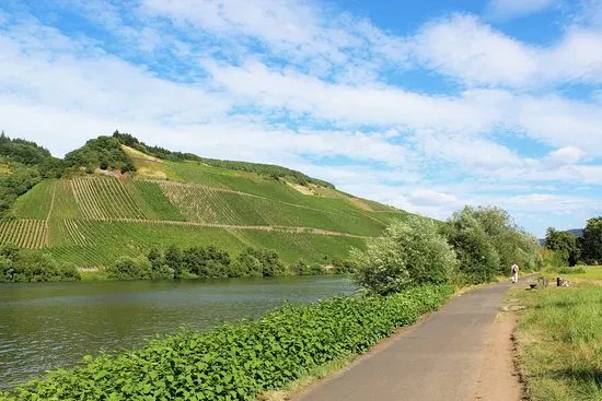 Moselsteig-Seitensprung ,,Longuicher Sauerbrunnen"