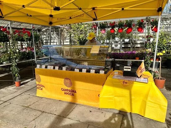 Mercato di Campagna Amica Ostia Antica