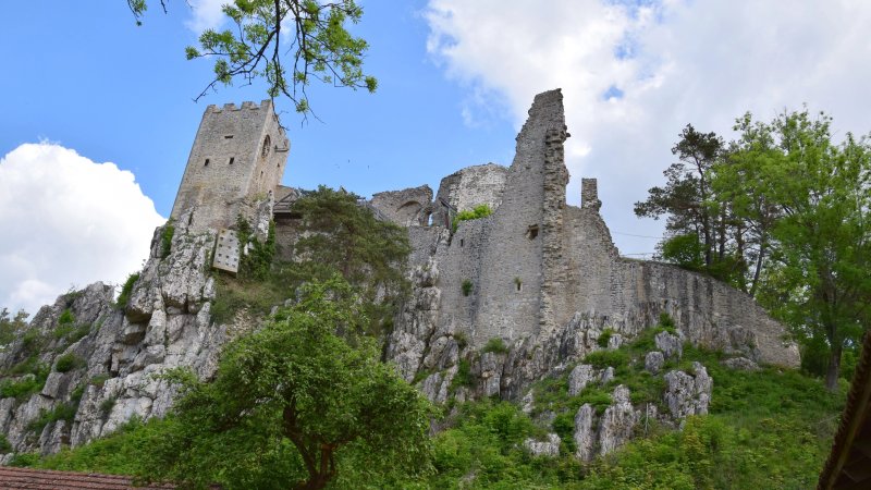 Weissenstein Castle