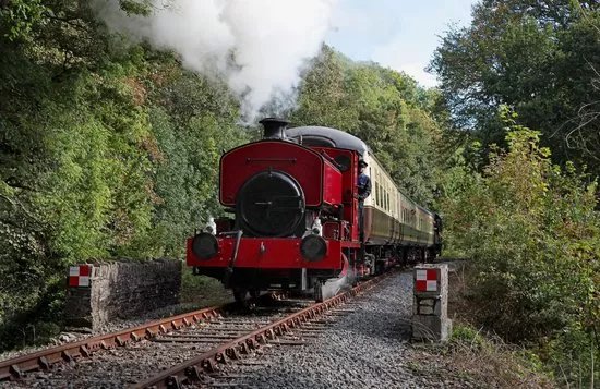 Plym Valley Railway