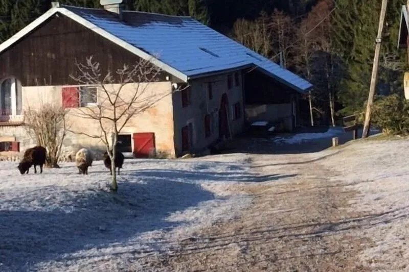 cottage in the heart of the countryside with pool access