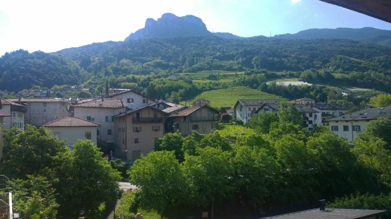 Camere Ester