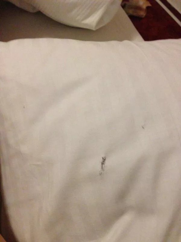 Hotel Happy