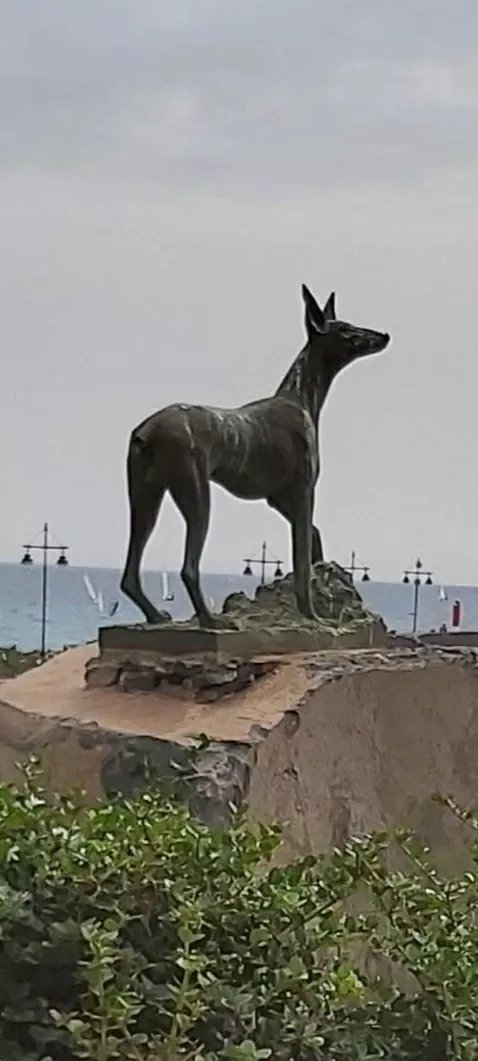Statue Podenco Canario
