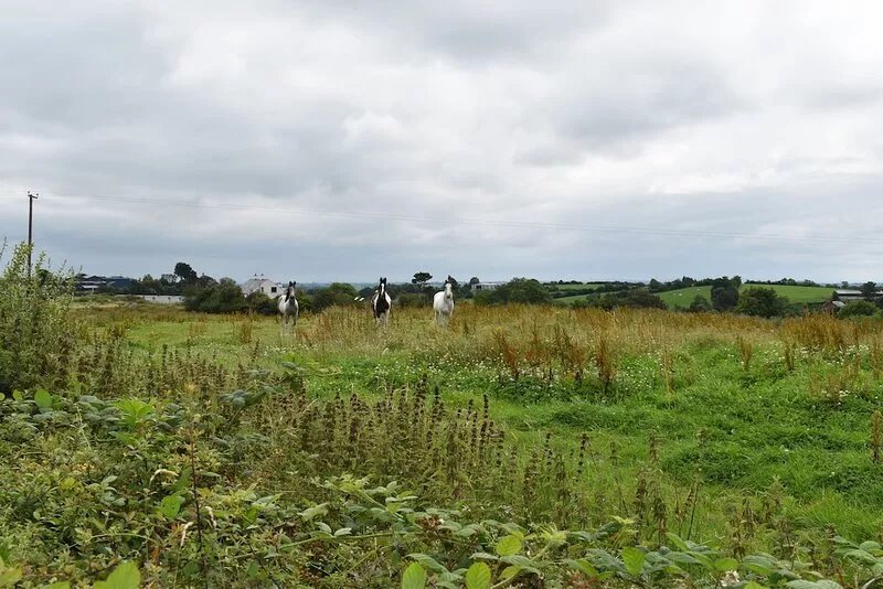Charming 3 Bedroom, Self Catering in centre of Mid Ulster