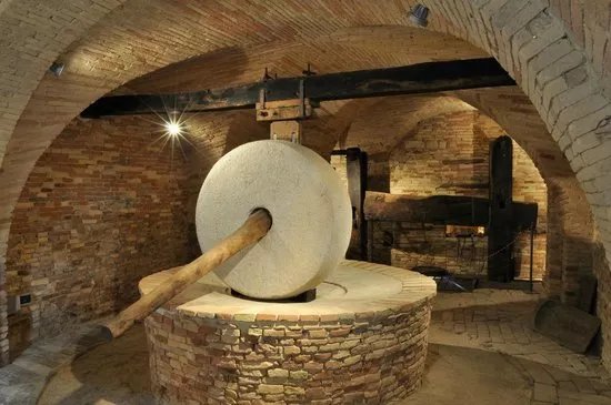 Museo dell’Olio di Cantinarte