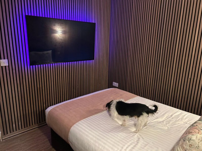 Tulip Hotel Design