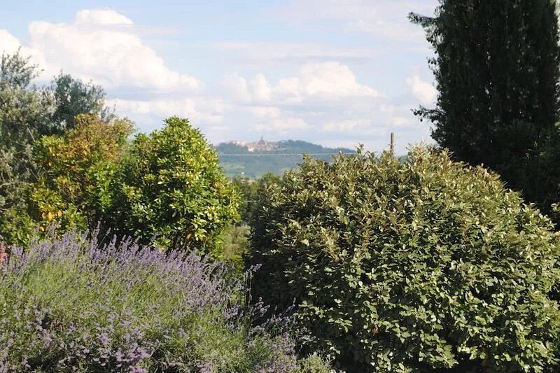 Old stone farmhouse with tower and private swimming pool, in the countryside