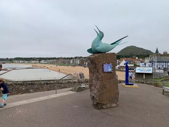 Arctic Tern Statue