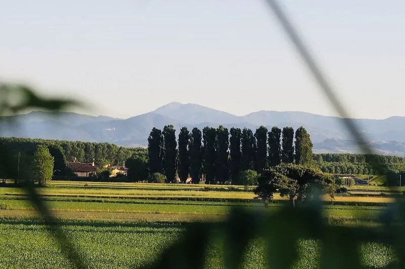 The house in the fields_Dépendance