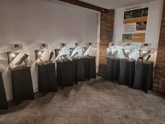 Spiders Exhibition in Zakopane Poland