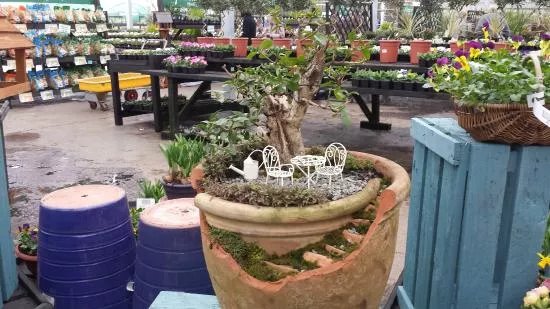 Azure Garden Centre