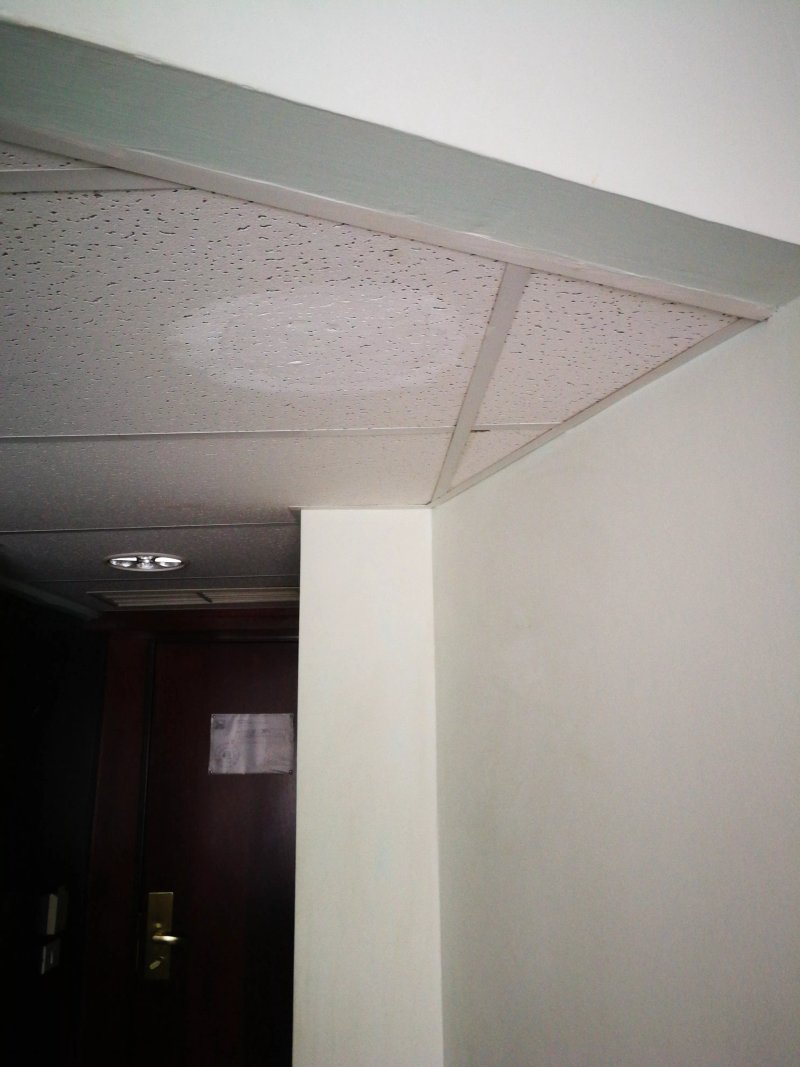 Hotel Muntenia