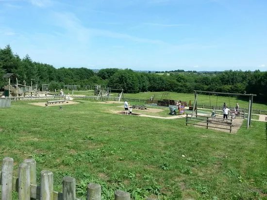 Rosliston Forestry Centre