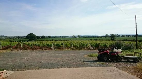 Rodington Vineyard