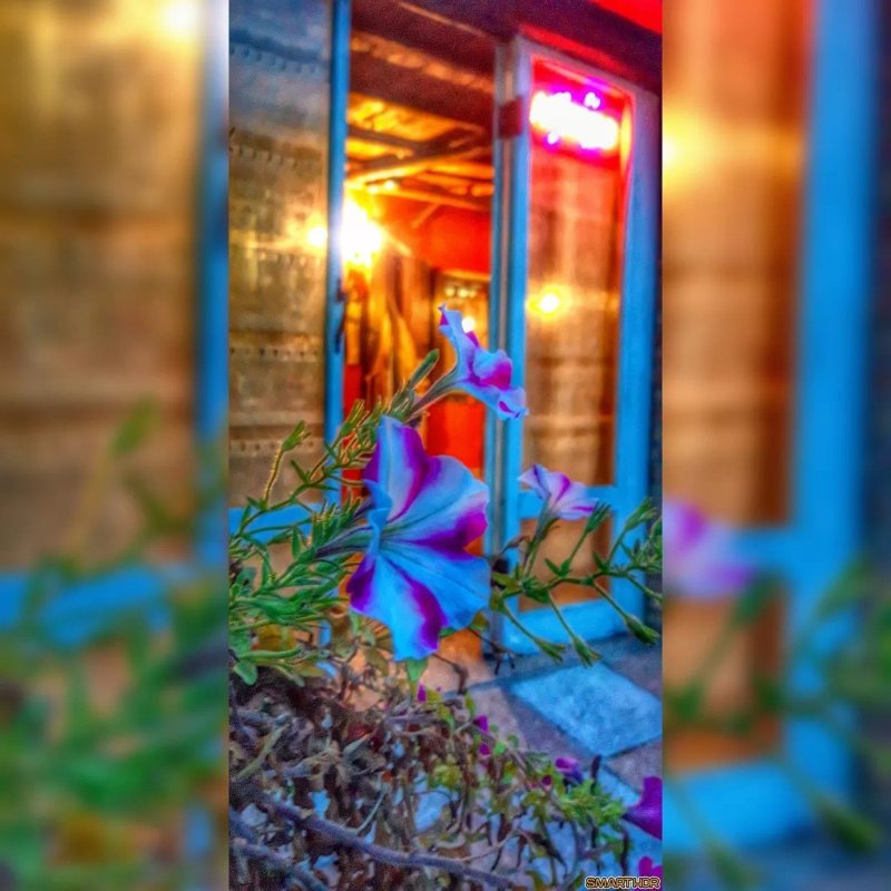 L'Osteria Veneta